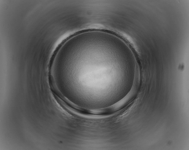 X0000091581326200708201159