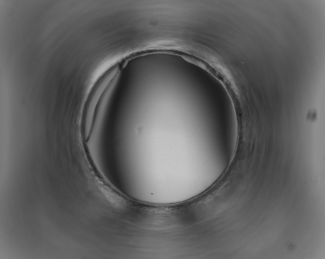 X0000091581328200708201159