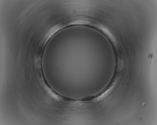 X0000091581329200708201159
