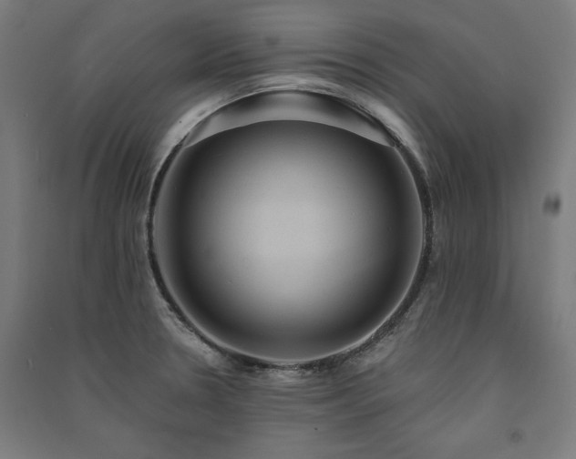 X0000091581330200708201159