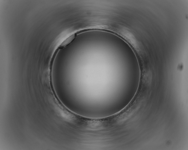 X0000091581332200708201159
