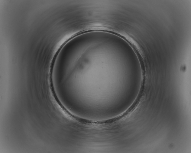 X0000091581333200708201159