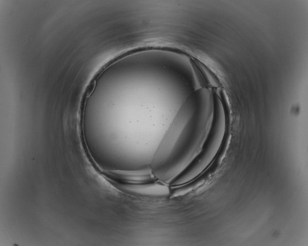 X0000091581334200708201159