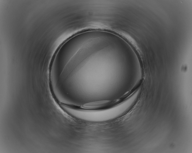 X0000091581335200708201159