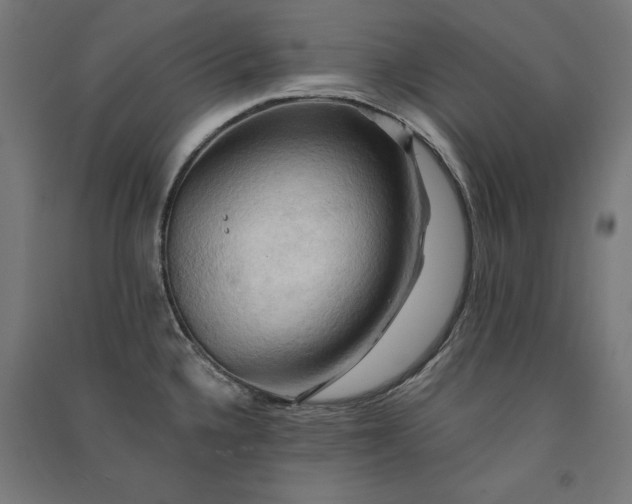 X0000091581336200708201159