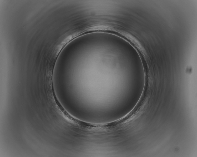 X0000091581337200708201159