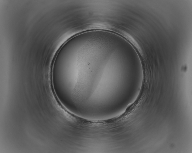 X0000091581339200708201159