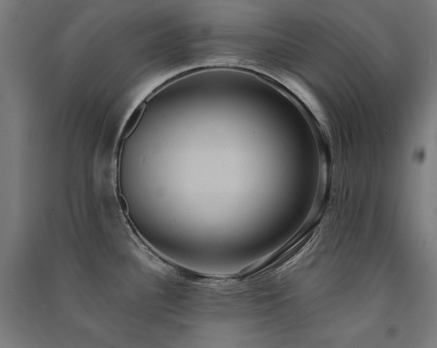 X0000091581340200708201159