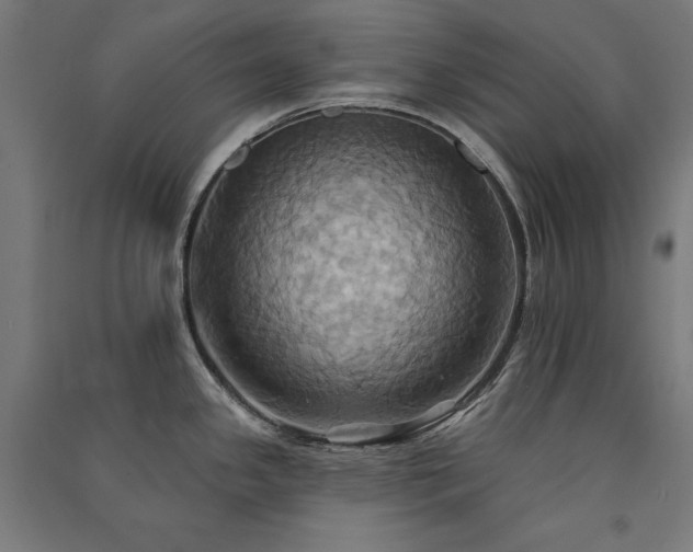 X0000091581341200708201159