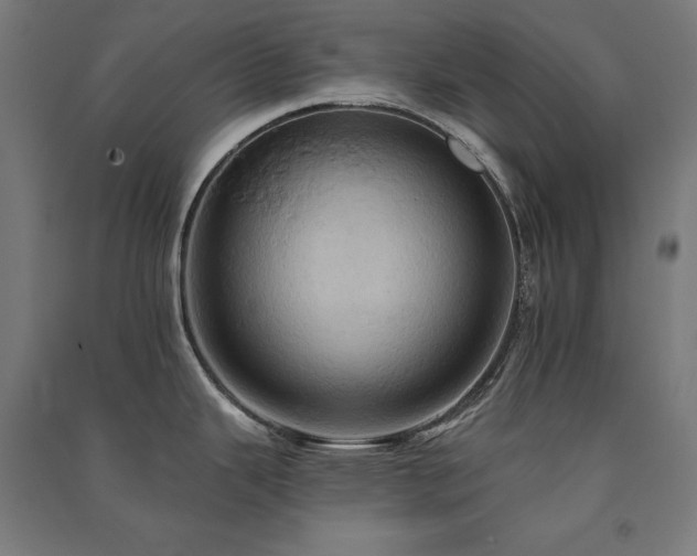 X0000091581343200708201159