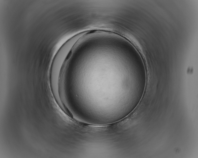 X0000091581344200708201159