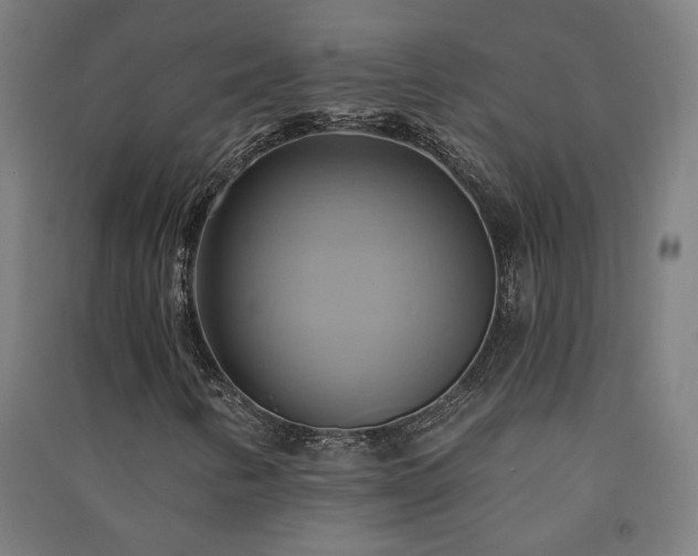 X0000091581346200708201158