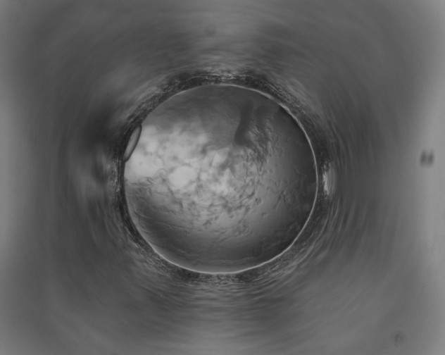 X0000091581347200708201158