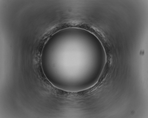 X0000091581349200708201158