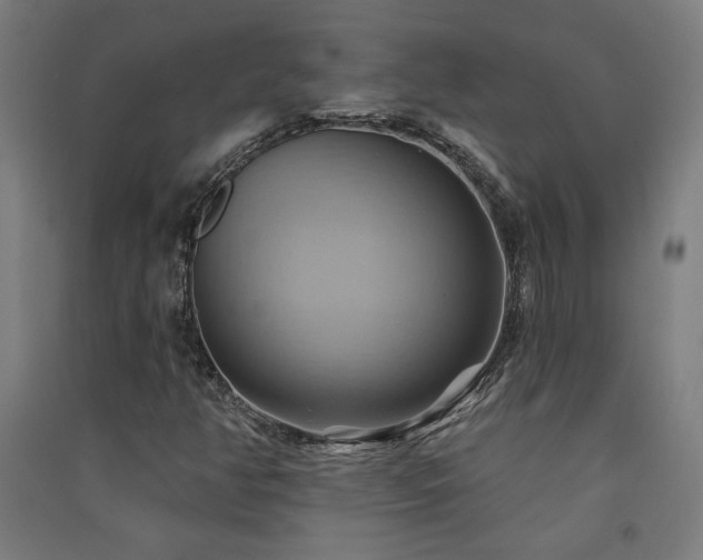 X0000091581350200708201158