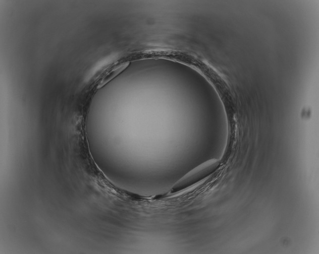 X0000091581351200708201158