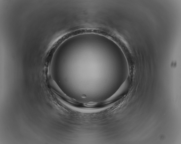 X0000091581352200708201158