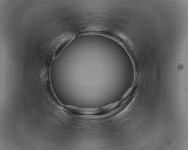 X0000091581353200708201158