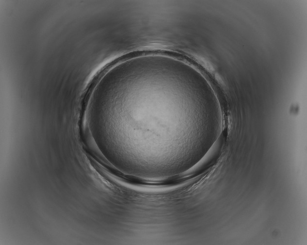 X0000091581356200708201158