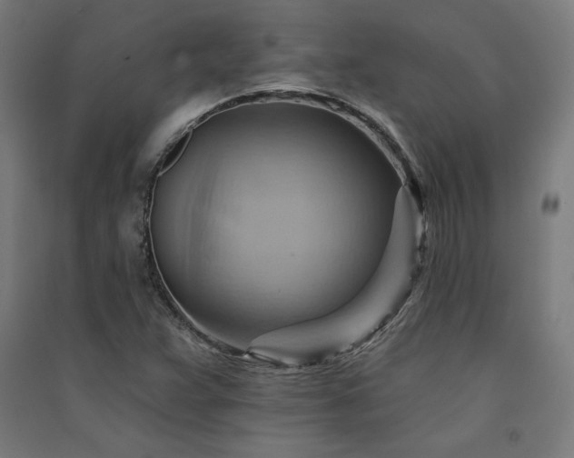 X0000091581359200708201158