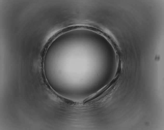 X0000091581360200708201158