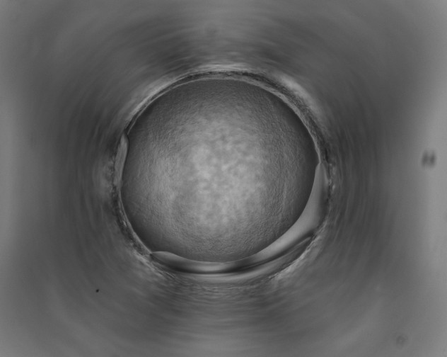 X0000091581361200708201158