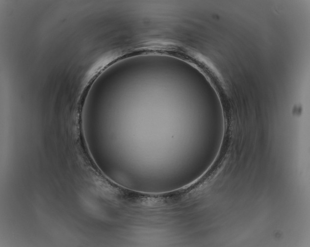 X0000091581362200708201158