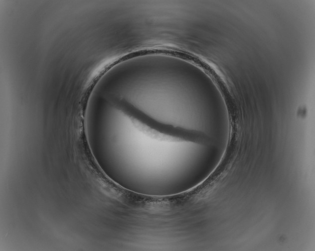 X0000091581363200708201158