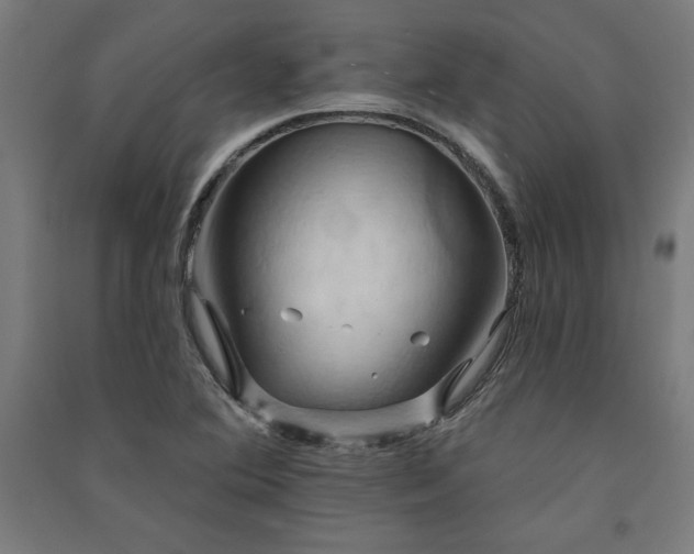 X0000091581364200708201158