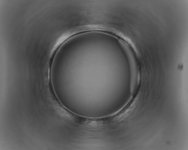 X0000091581365200708201158