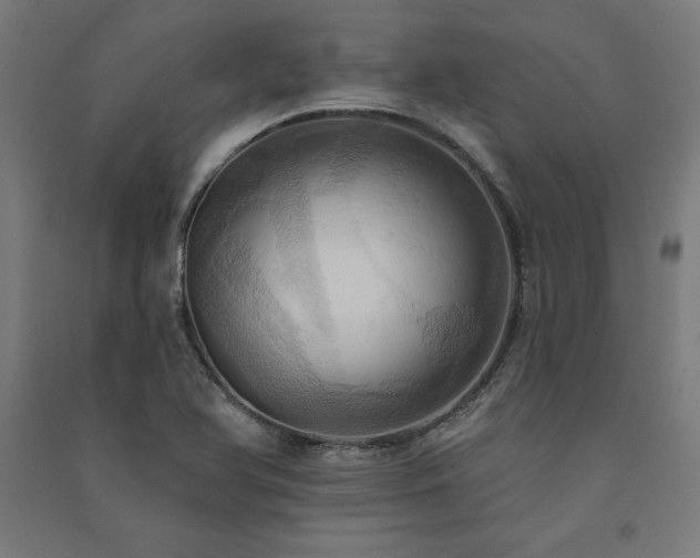 X0000091581366200708201158