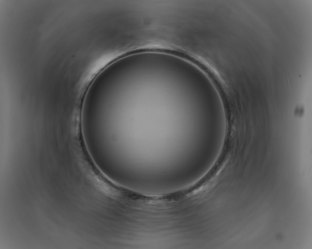 X0000091581367200708201158