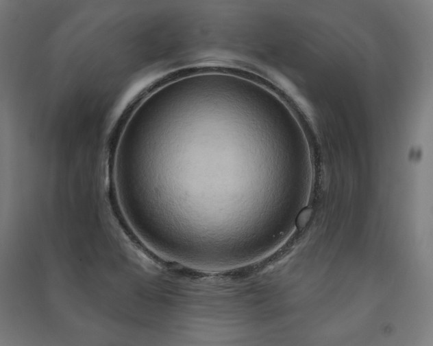 X0000091581368200708201158