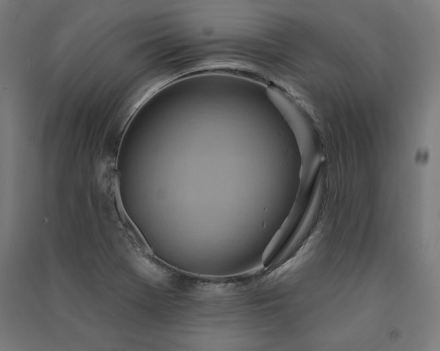 X0000091581369200708201158
