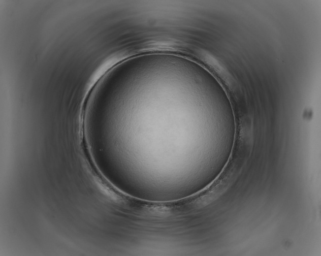 X0000091581370200708201158