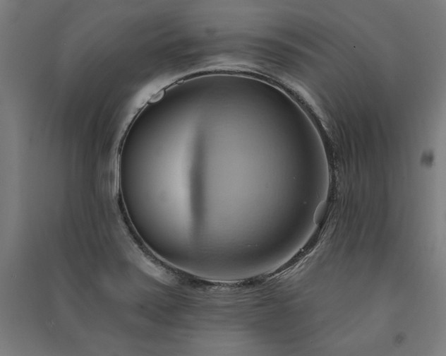X0000091581371200708201158
