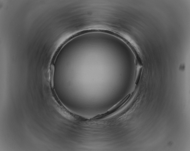 X0000091581372200708201158