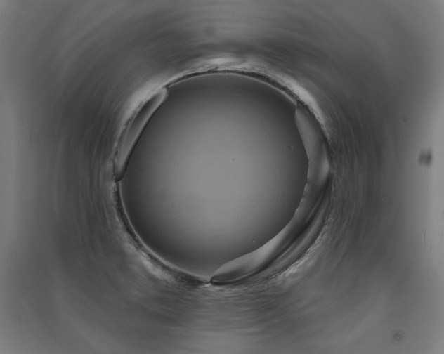 X0000091581373200708201158