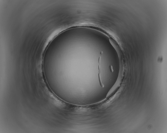 X0000091581374200708201158