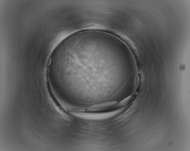 X0000091581375200708201158