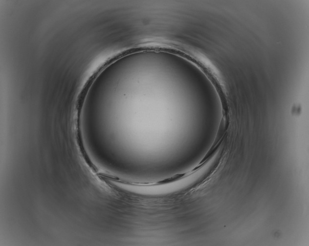 X0000091581376200708201158