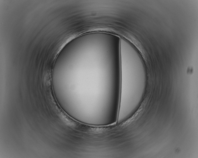 X0000091581377200708201158