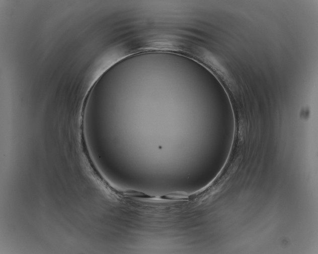 X0000091581378200708201158
