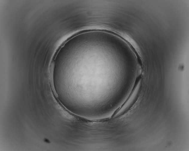 X0000091581380200708201158