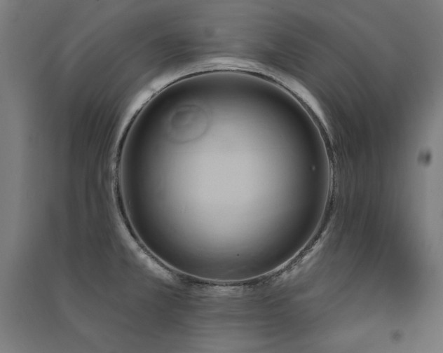 X0000091581381200708201158