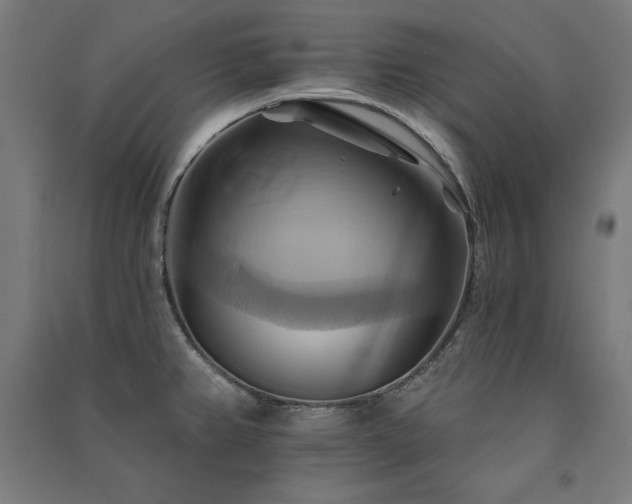 X0000091581382200708201158