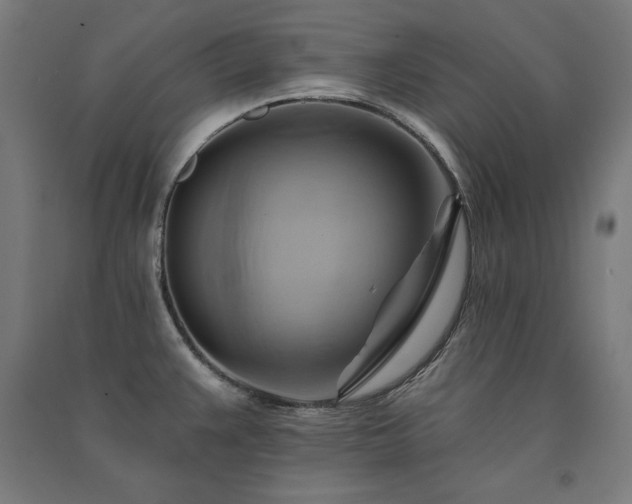 X0000091581383200708201158
