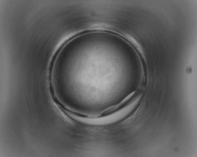 X0000091581384200708201158