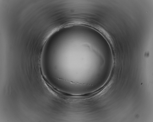 X0000091581385200708201158