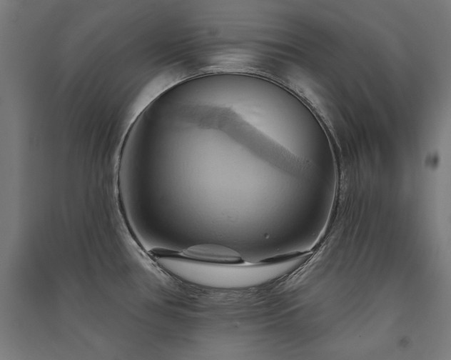 X0000091581386200708201158